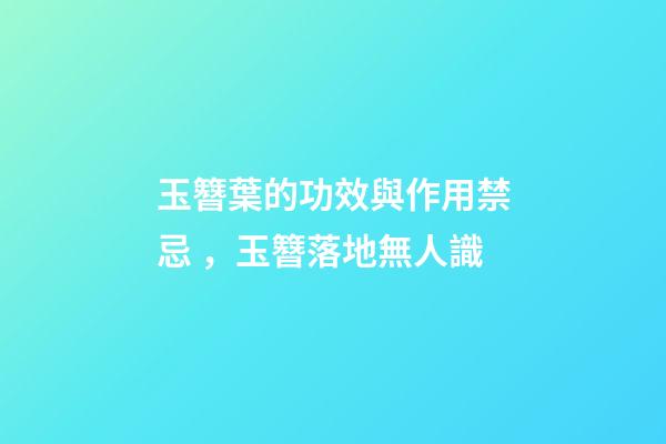 玉簪葉的功效與作用禁忌，玉簪落地無人識